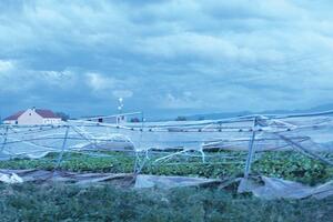 Polomljeni plastenici u Zeti i Malesiji, uništeni i rani usjevi