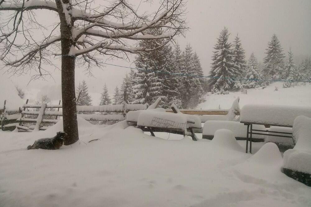 snijeg, Pljevlja, Foto: Dragica Jauković