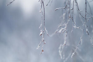 Francuska: Od gripa umrlo 13 ljudi u samo jednom staračkom domu