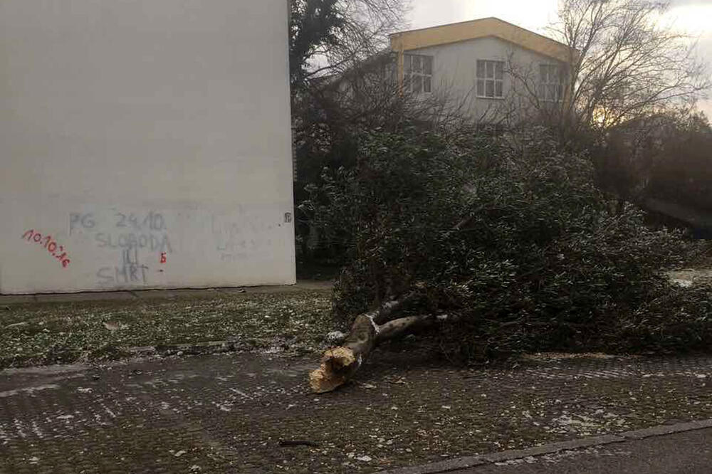 Bar nevrijeme, Foto: Radomir Petrić