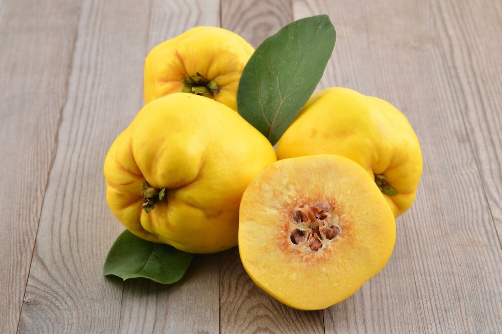 dunje, Foto: Shutterstock