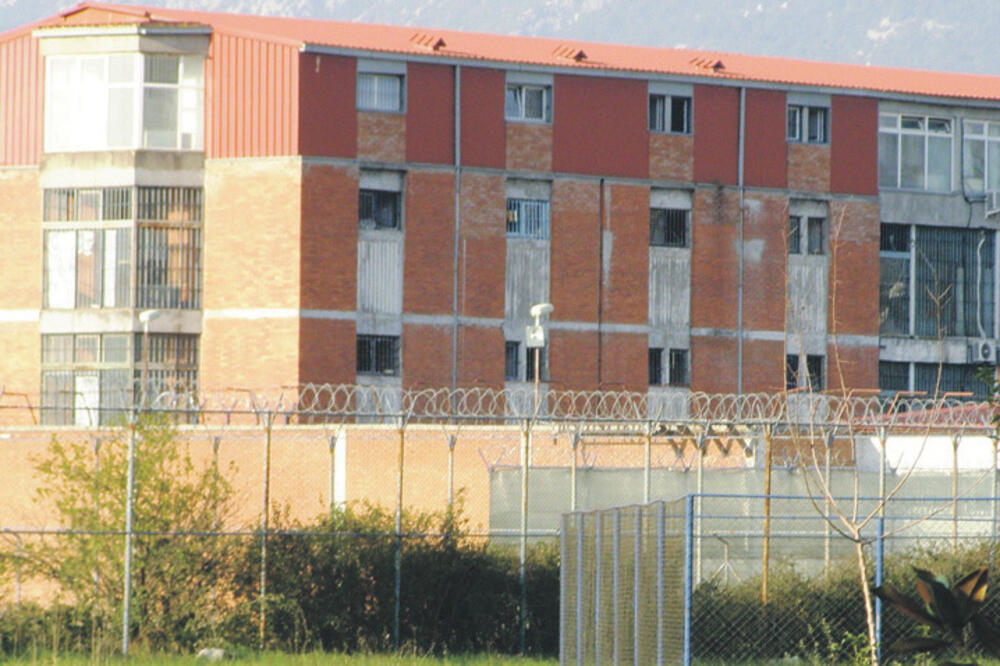 ZIKS, Foto: Jelena Jovanović