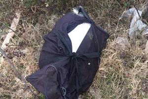 U Sukobinu pronađena torba sa 8,6 kg skanka: Prokrijumčaren iz...