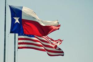 Teksas: Četiri djeteta umrla od trovanja gasom