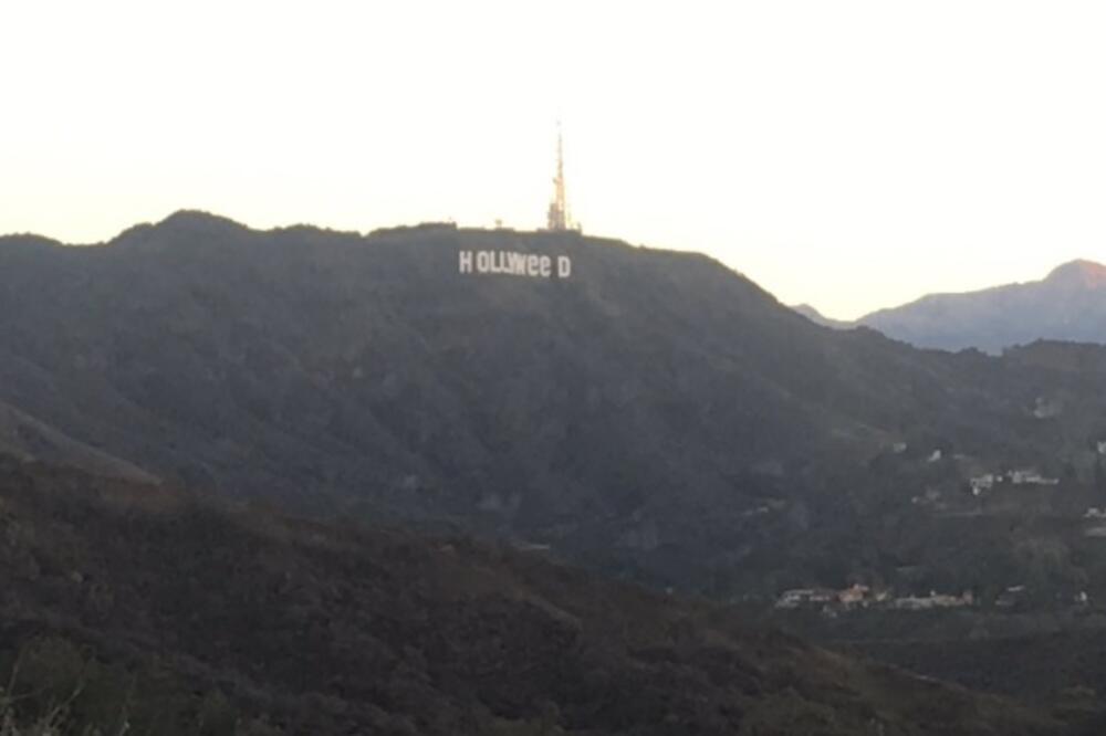 Hollyweed, Foto: Twitter