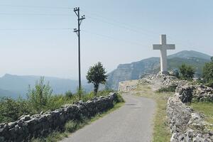 Lovački psi zaklali ovce u Zatrijepču