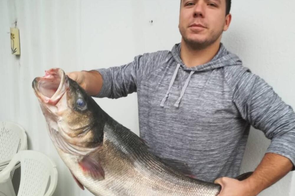 Jovan Đakonović, Foto: UNA