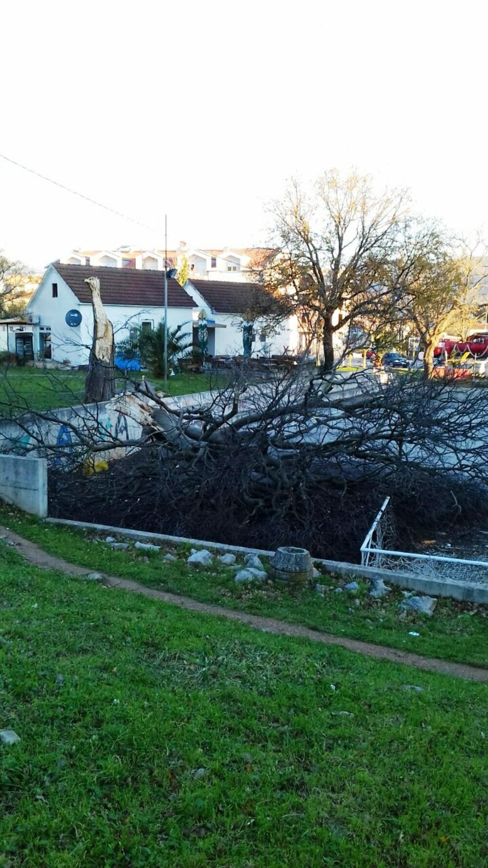 Tivat, bura, nevrijeme