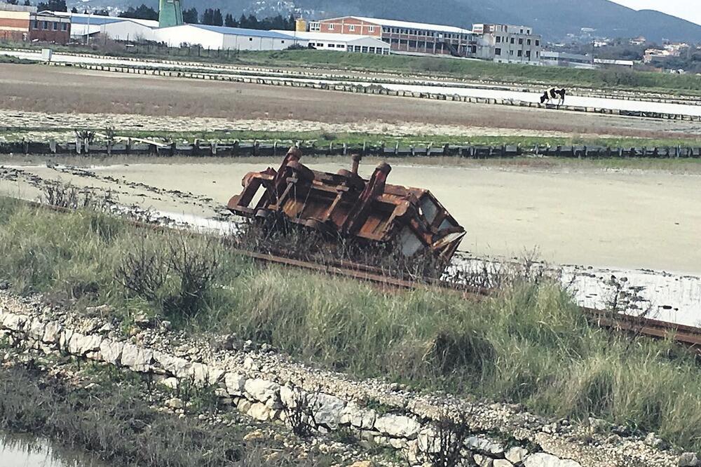 Solana Ulcinj (Novine)