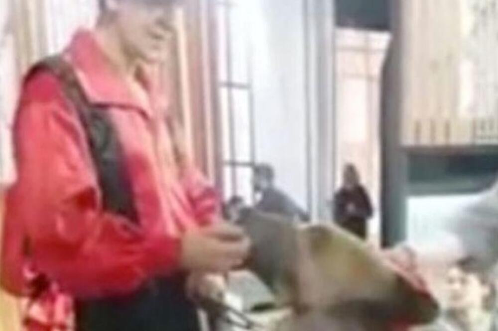 Mečka Bonja, Foto: Screenshot (YouTube)