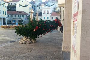 Herceg Novi: Vjetar oborio novogodišnju jelku