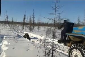Divljačko ponašanje radnika u Sibiru: Kamionom ubijaju medvjeda