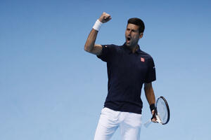 Đoković je obilježio 2016.