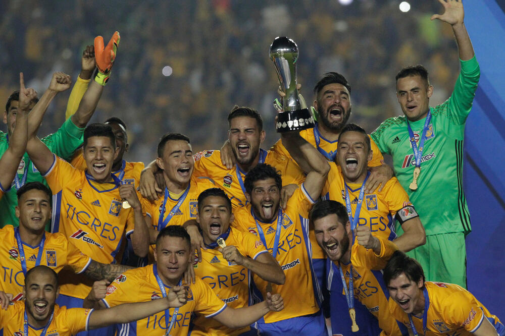 Tigres, Foto: Reuters