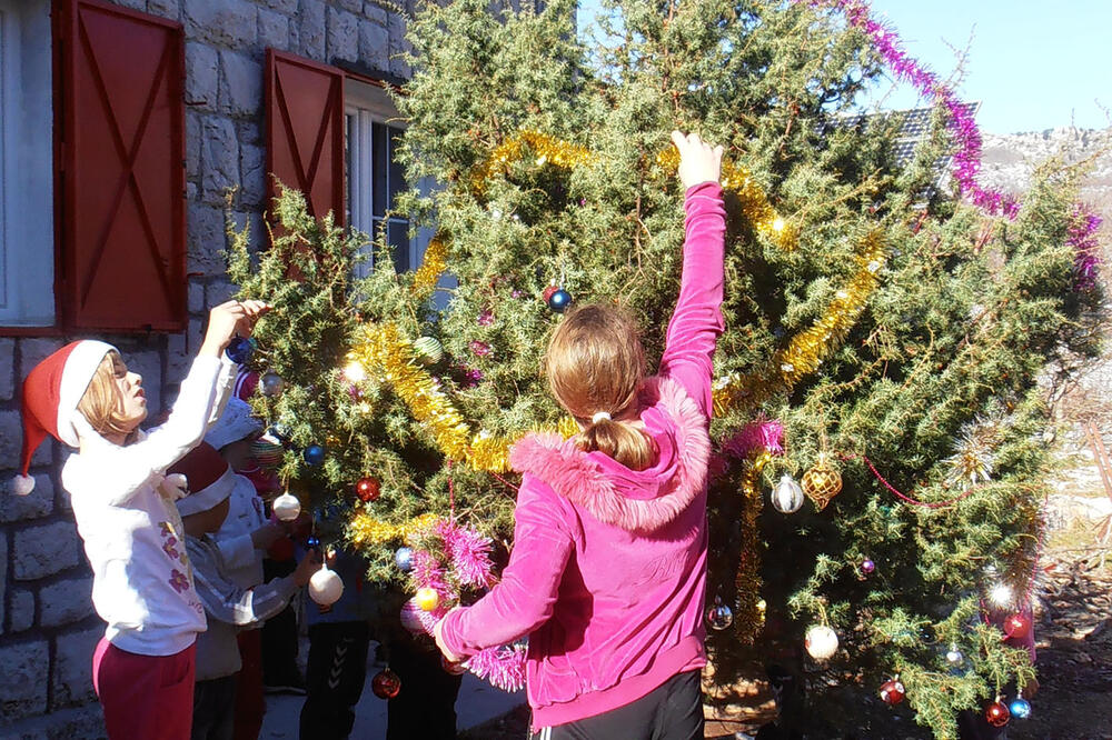 kićenje kleke, Foto: Slavica Kosić