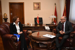 Darmanović: Uticaj i posljedice migracija prevazilaze nacionalne...