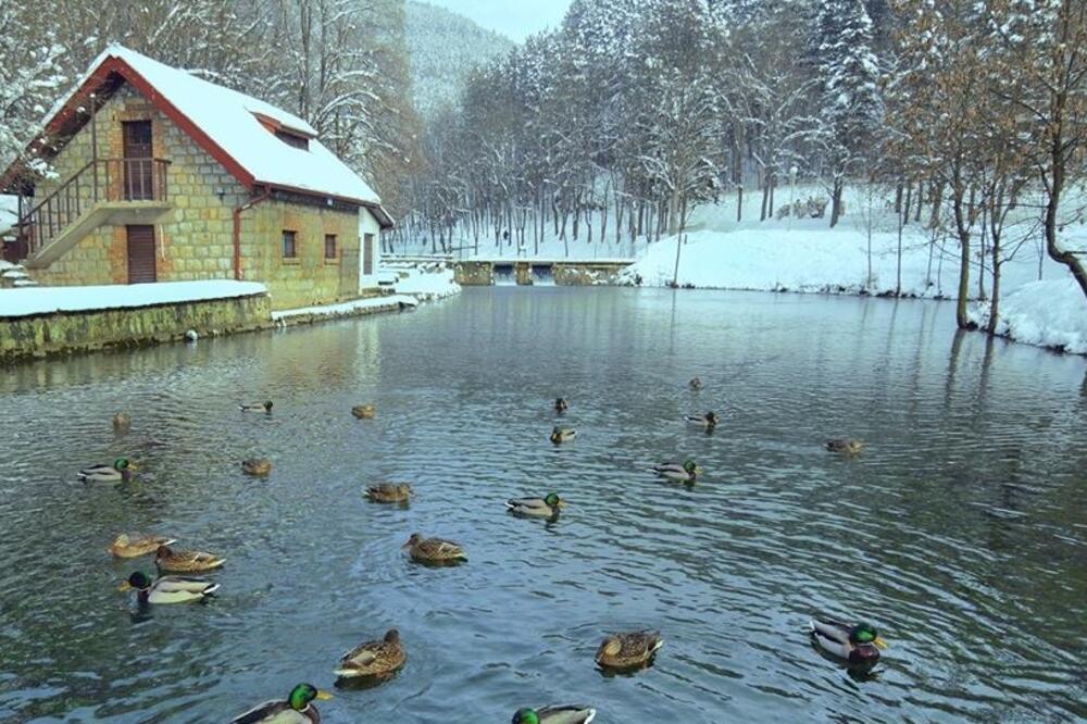 Ribnjak i mrestilište u Vodicama, Foto: SRK Lipljen