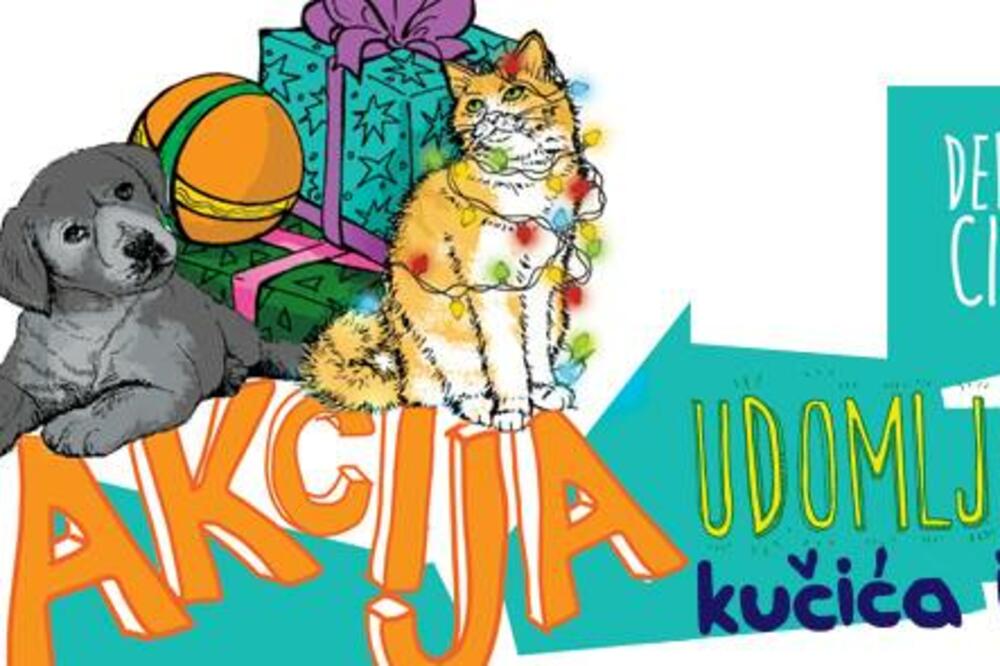 udomljavanje životinja, sPas, Foto: Spas