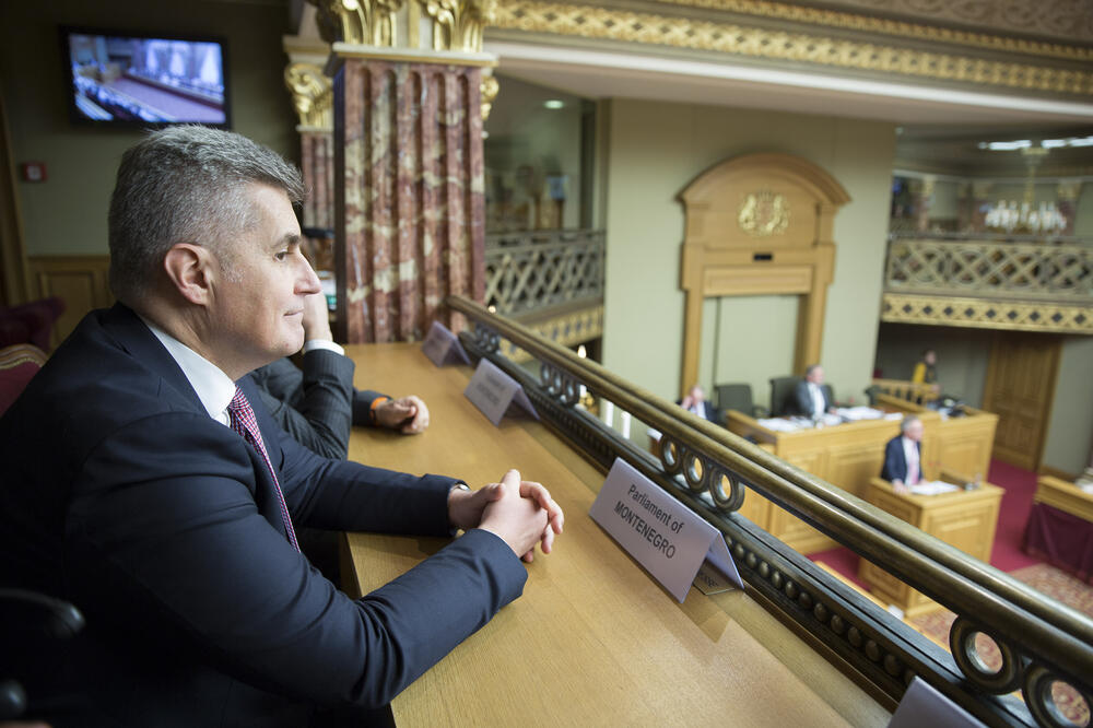 Ivan Brajović, Foto: Skupština Crne Gore