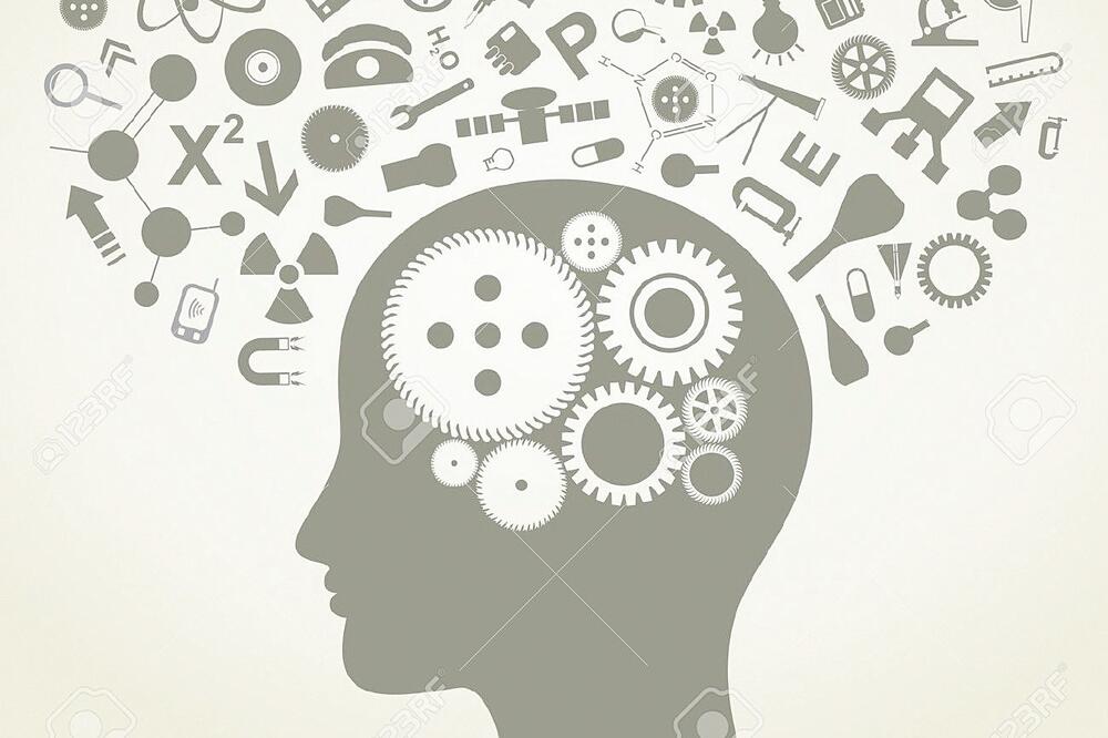 mozak, naučnik (Novina)