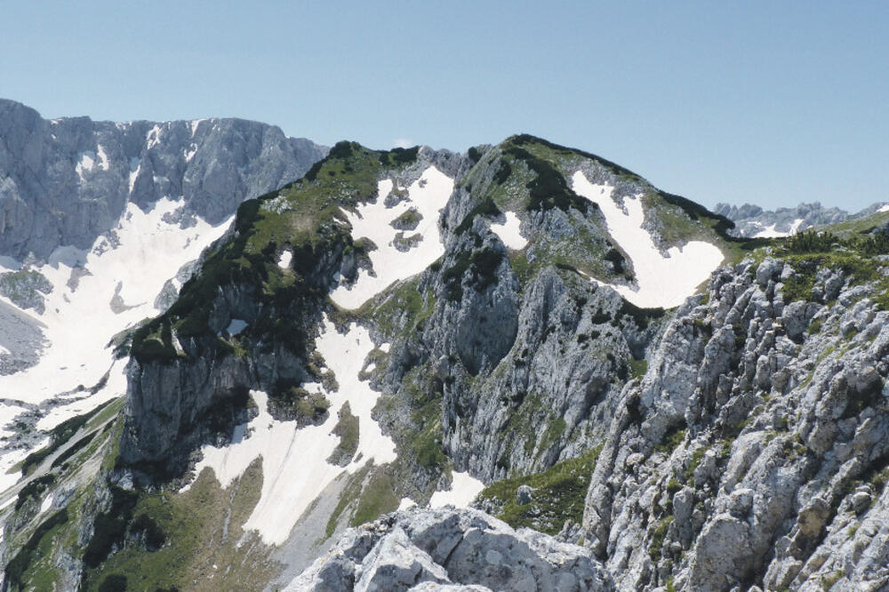 Mali Medvjed, Foto: Arhiva Vijesti
