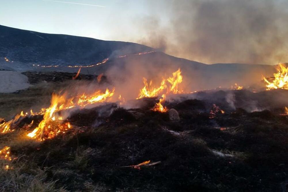 požar, Krnovo, Foto: D. Janjušević
