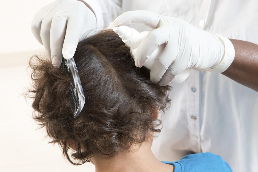 vaške, Foto: Shutterstock.com