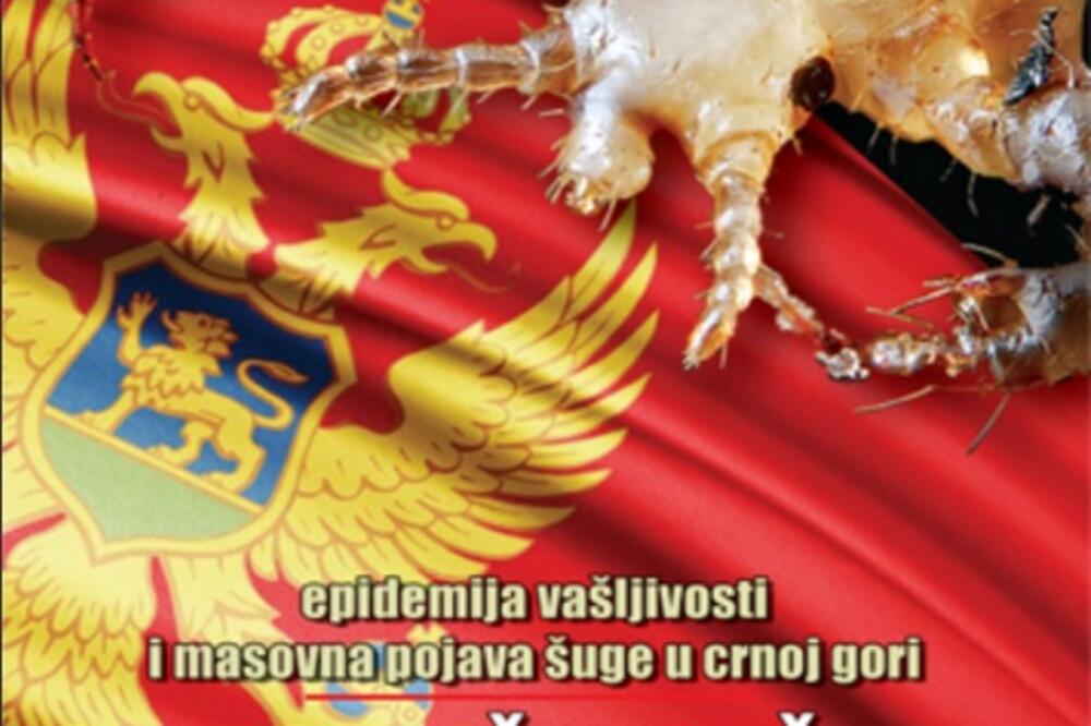 Monitor, Foto: Monitor.co.me