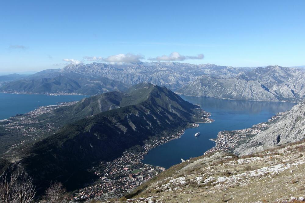 Vrmac, Foto: Siniša Luković