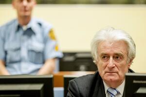 Karadžić uložio žalbu Haškom tribunalu