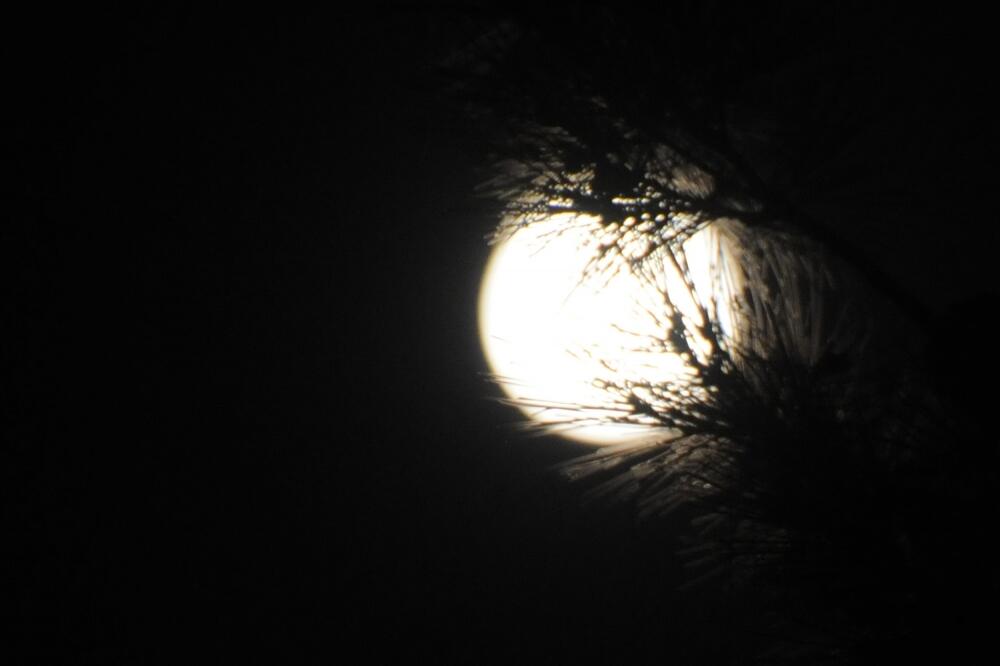 Super mjesec, Foto: Luka Zeković