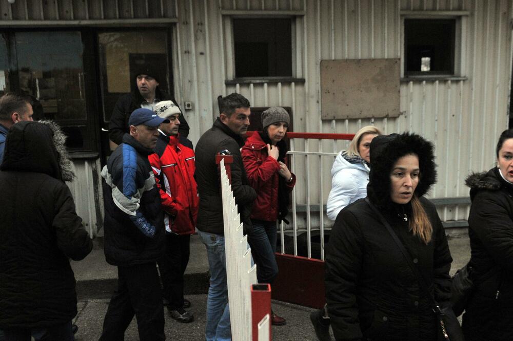 Novi duvanski radnici, Foto: Savo Prelević