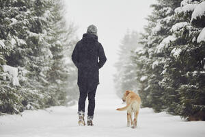 Evo kako šetnja po hladnom vazduhu utiče na naše tijelo
