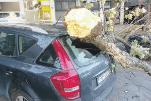 Olujni vjetar u Podgorici: Obarao drveće, ograde i znakove