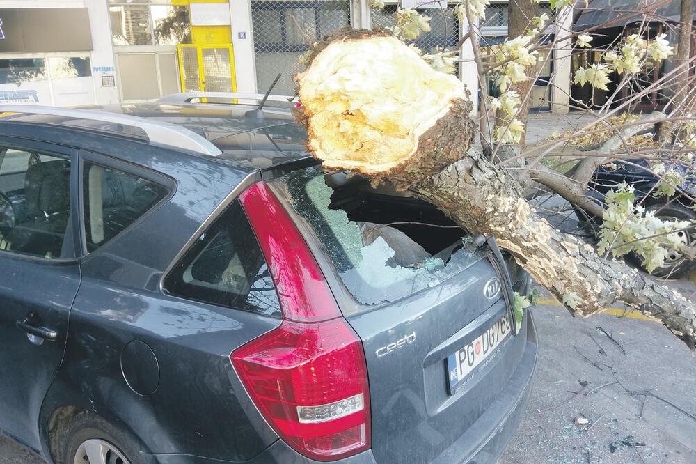 vjetar Podgorica, Foto: D. Mihailović