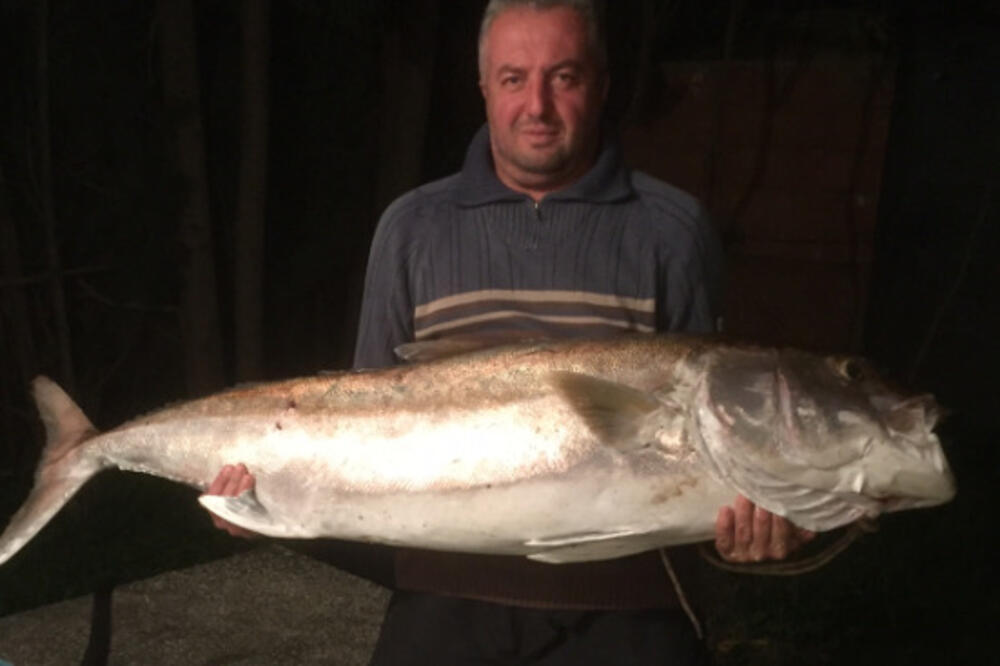 Goran, Gorović, gof