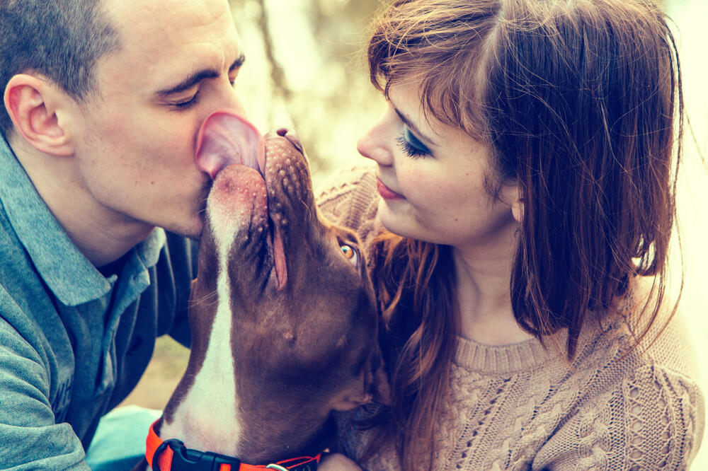 čovjek i pas, Foto: Shutterstock