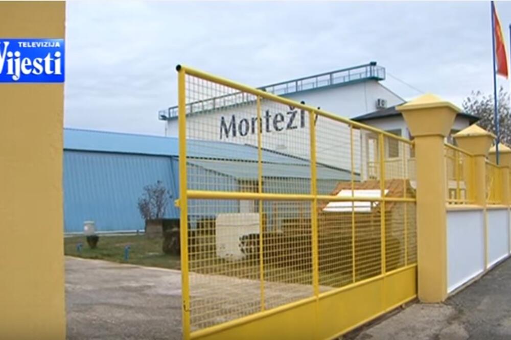 Monteživ, Foto: Screenshot (TV Vijesti)