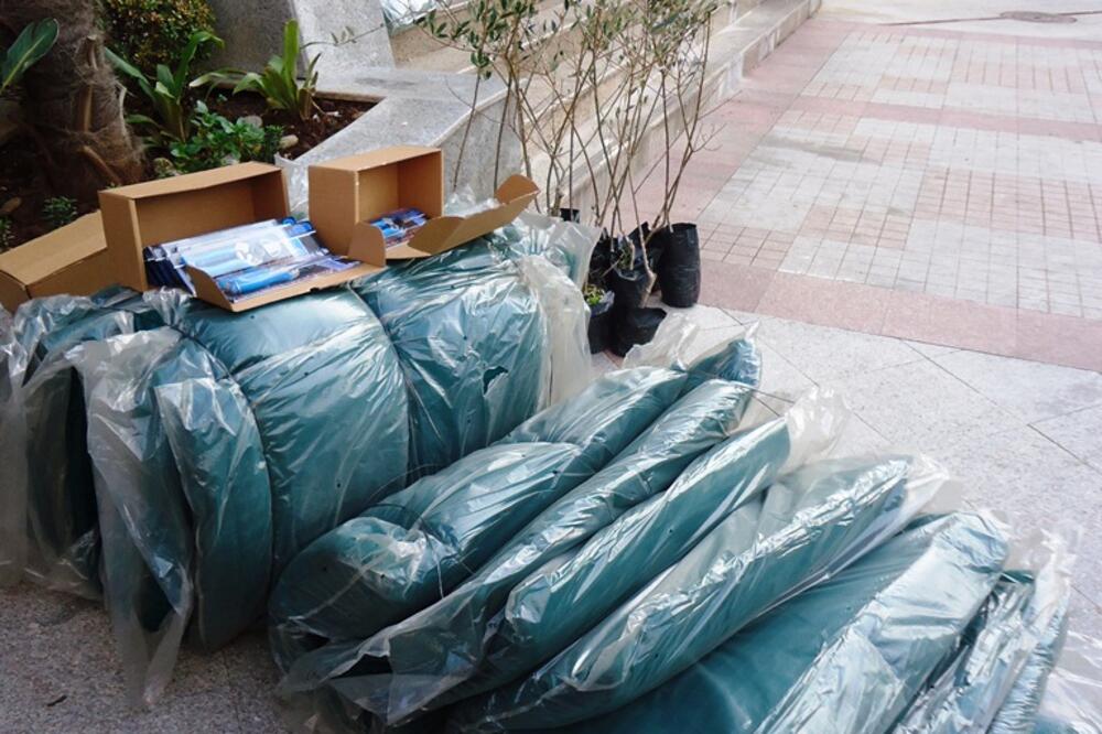 Mreže, Foto: Siniša Luković