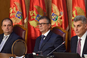 Šćepanović ostala višak: Gvozdenović predložen u posljednji tren