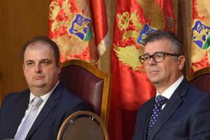 Gvozdenović i Nimanbegu potpredsjednici parlamenta