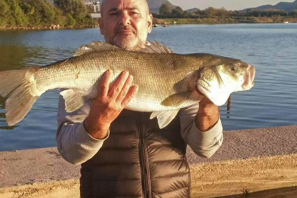 Nenad Ljubojević, Foto: Una