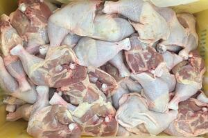 Hrvatska: Zbog salmonele povučena uvozna piletina i ćuretina