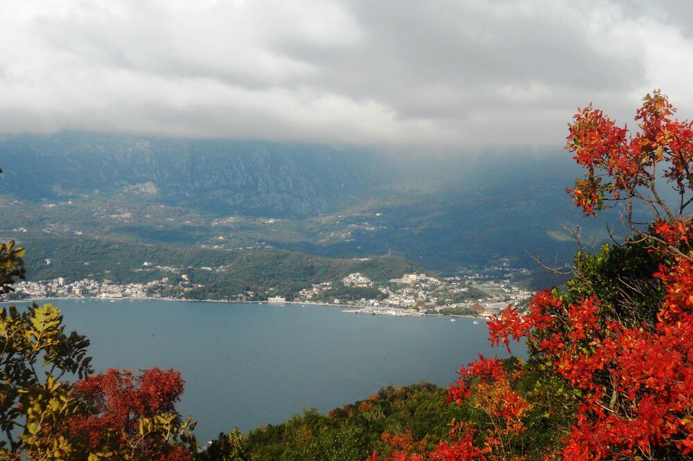 Poluostrvo Luštica, Foto: Jasna Gajević