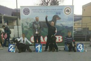 Međunarodna izložba pasa: Prvo mjesto za rotvajlera