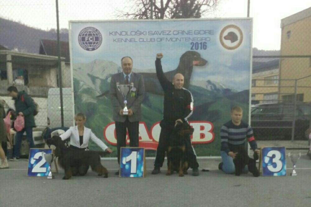 Izložba pasa Bijelo Polje, Foto: Jadranka Ćetković