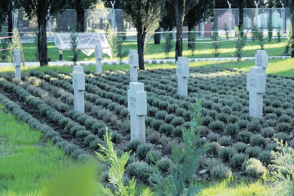 groblje njemačkih vojnika, Foto: Zoran Đurić