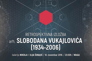 Retrospektiva radova Slobodana Vukajlovića