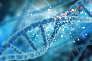 "Sveti gral" genetike: Mogao bi produžiti ljudski život i...