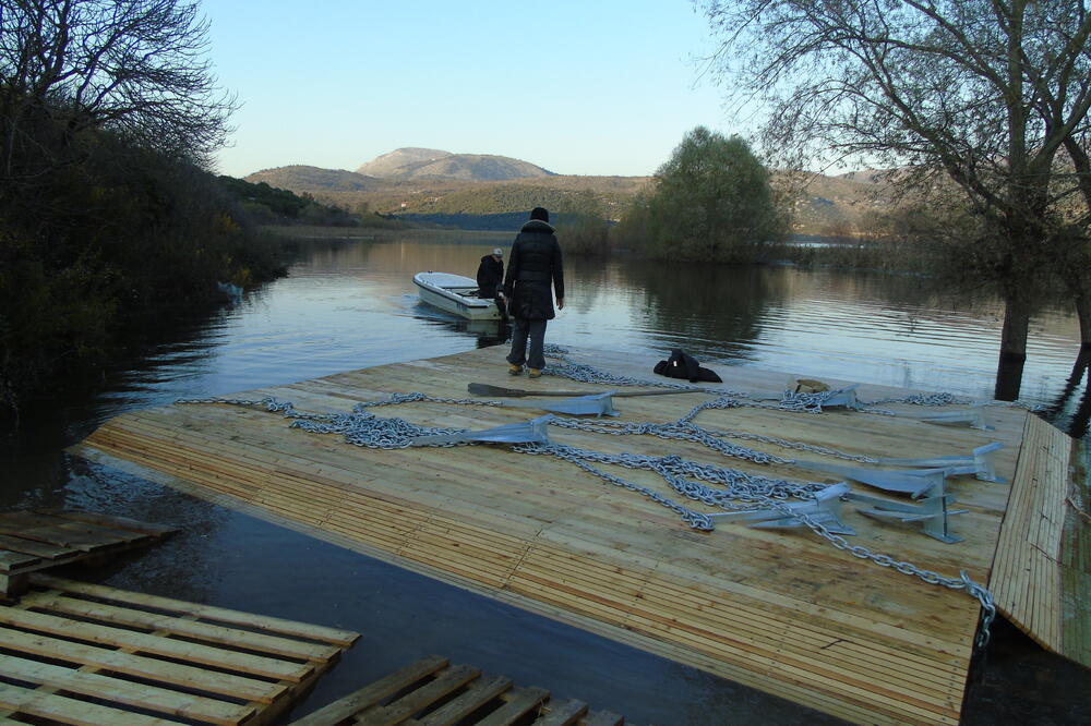 Gniježđenje pelikana Skadarsko jezero, Foto: Nacionalni parkovi Crne Gore